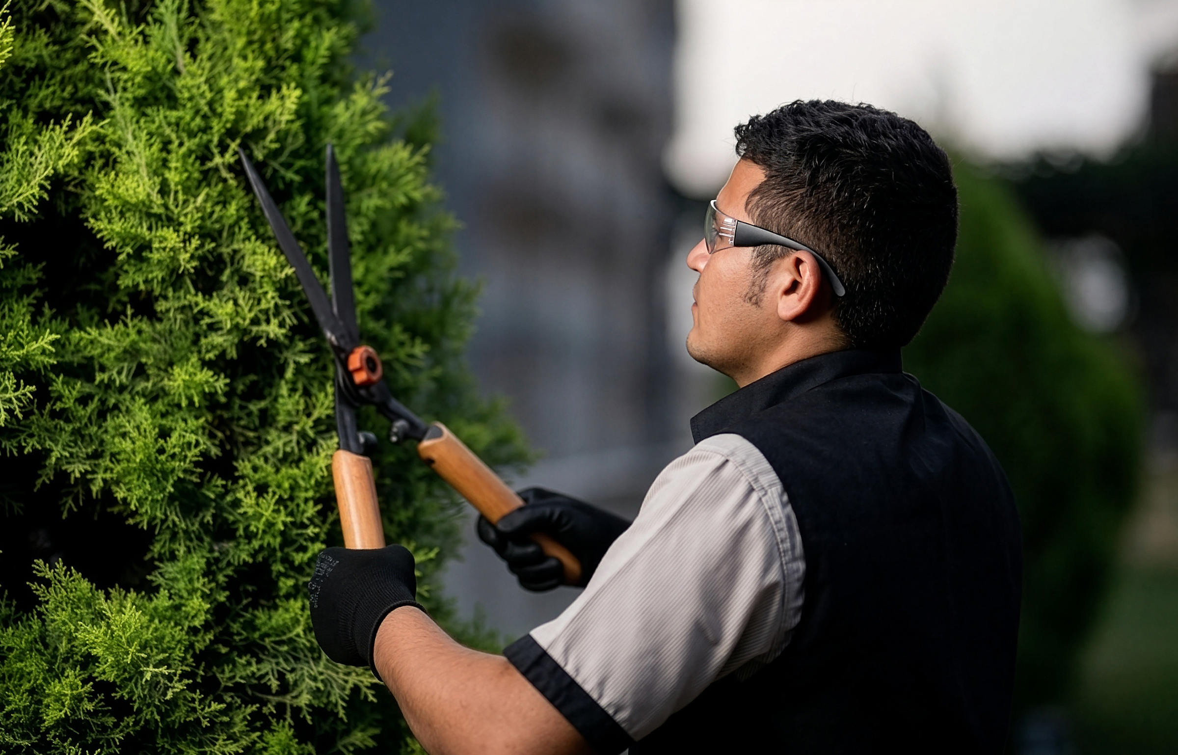 landscaping services in bangalore